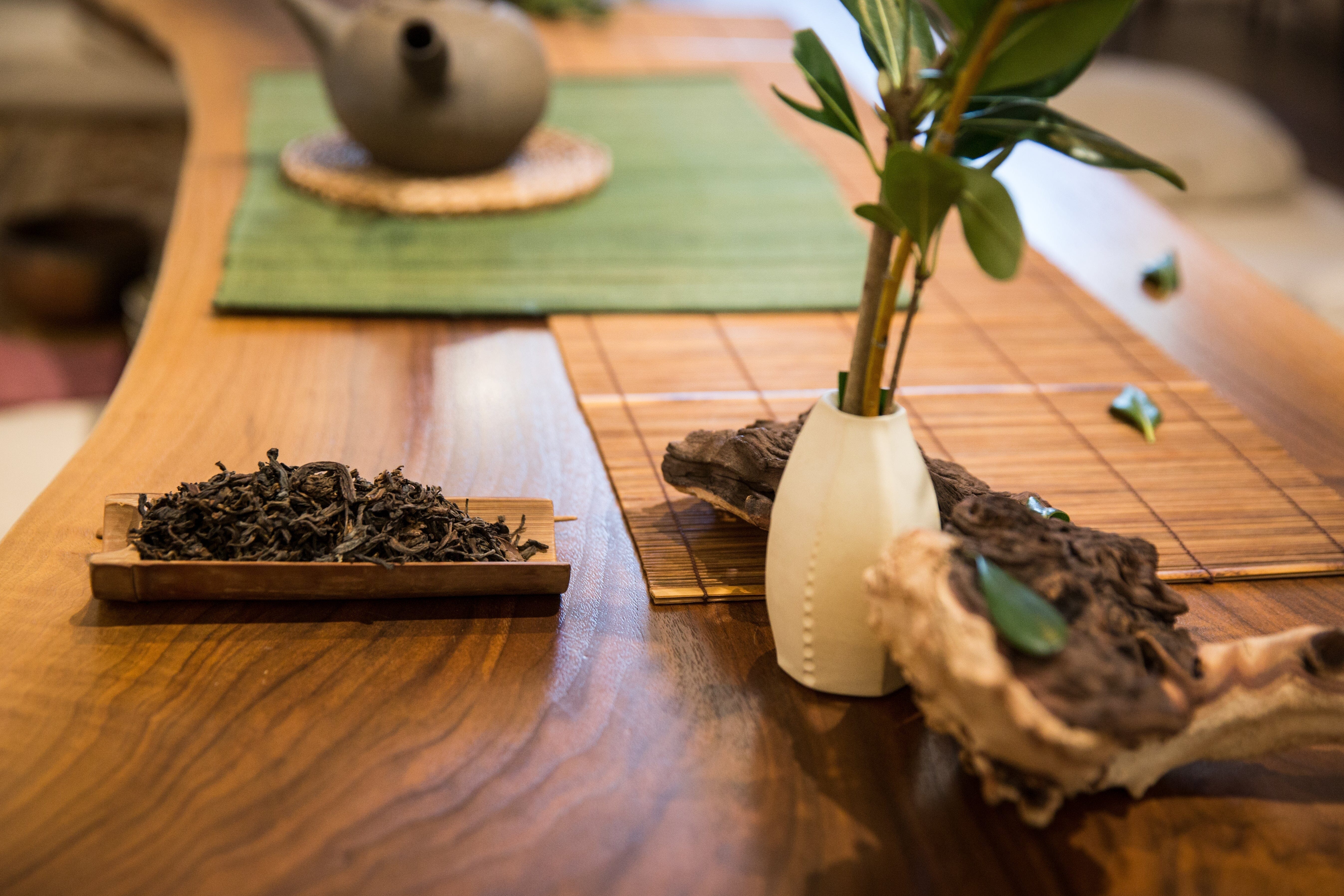 Aligning with the Wood Element: Seasonal Tea Club Spring 2022