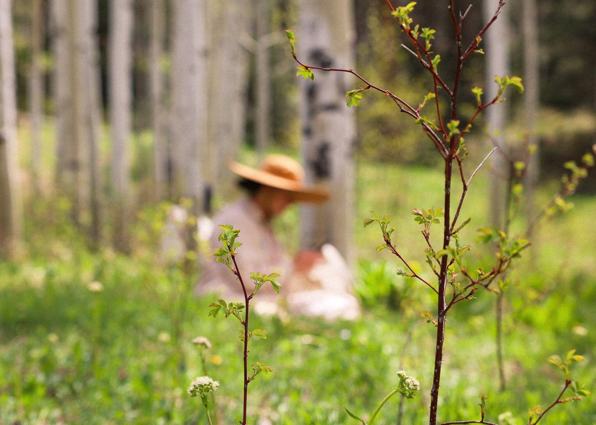 Stepping Beyond the Familiar: Embracing New Teas and the Earth Element