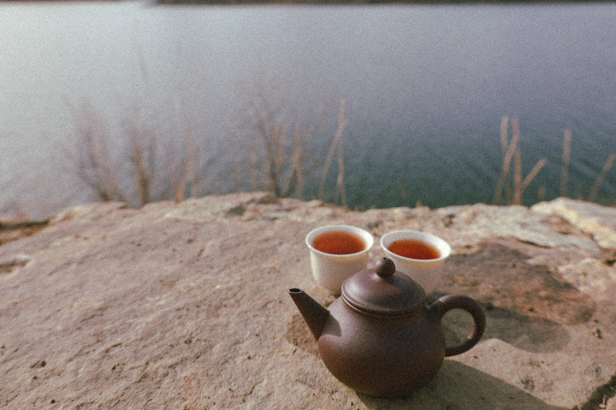 Earth at the Hinge: On Aged Tea, Seasonal Transition, and the Terms Worth Knowing