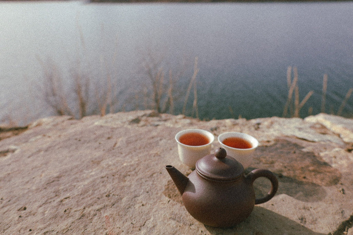 Earth at the Hinge: On Aged Tea, Seasonal Transition, and the Terms Worth Knowing
