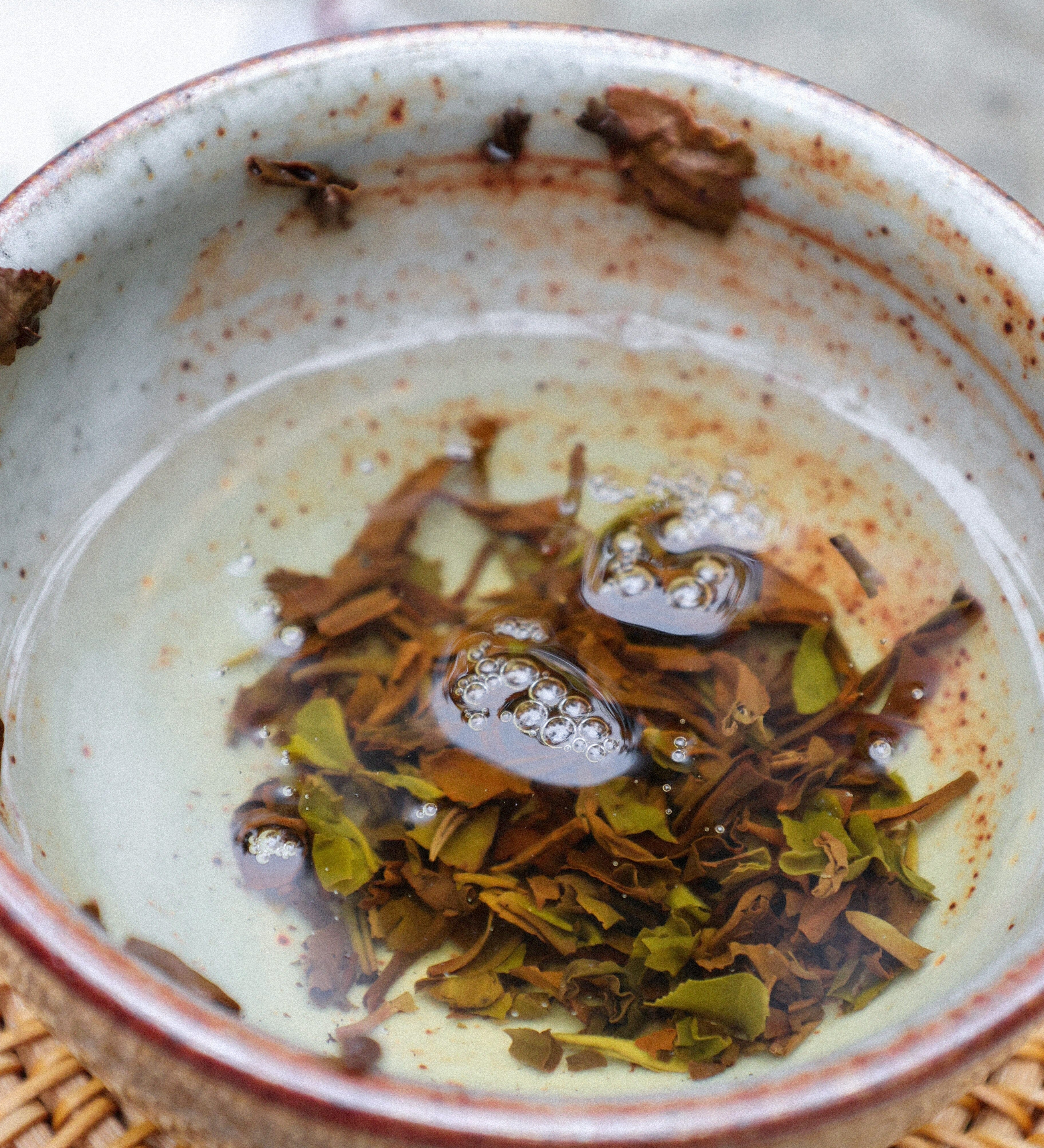Honoring the Leaf, Honoring the Earth: 11 Ways to Reuse Tea Leaves