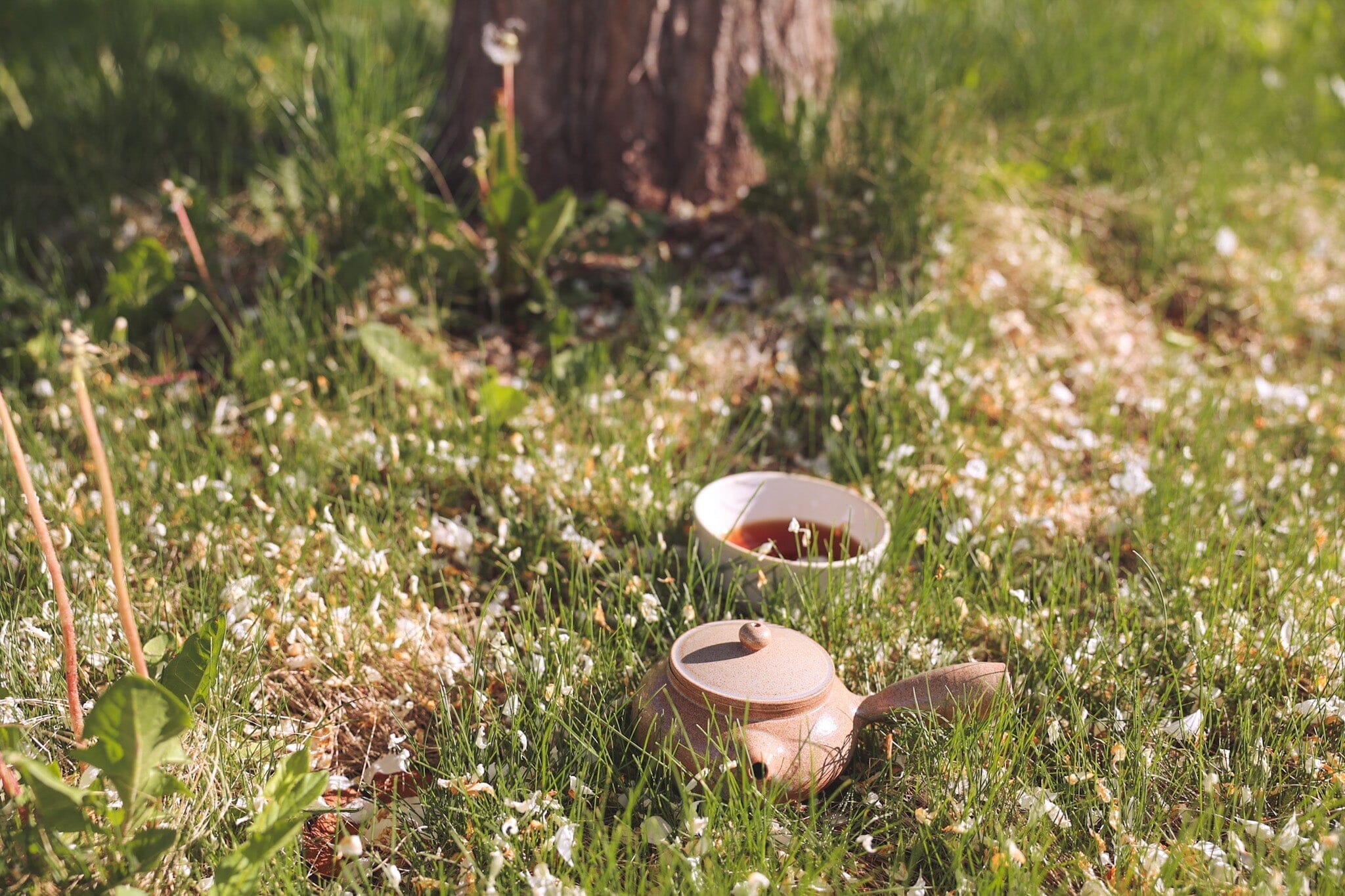 A Time to Bloom: Seasonal Tea Club Spring 2019
