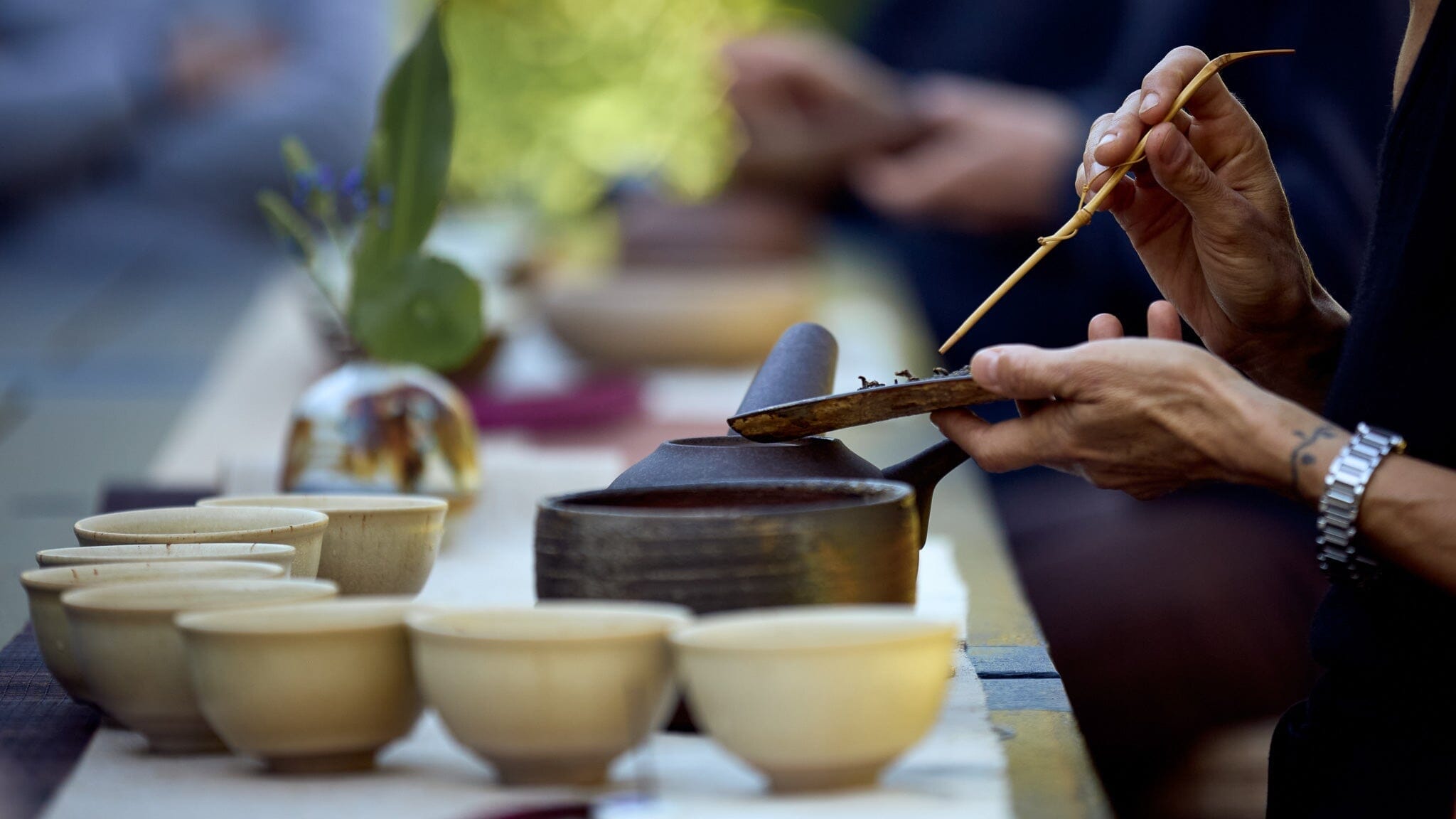 The Opposite of Death Is Birth: Seasonal Tea Club Spring 2026