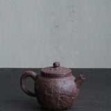 Foraged Clay Gongfu Teapot - 130mL