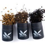 Living Tea Ritual Kit