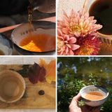 Seasonal Tea Club - Gift a Full Year (4 Seasons)