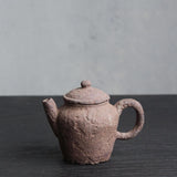 Foraged Clay Gongfu Teapot - 120mL